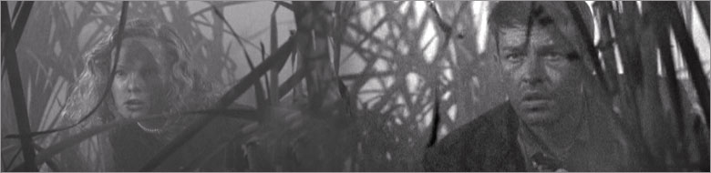 What is Noir?